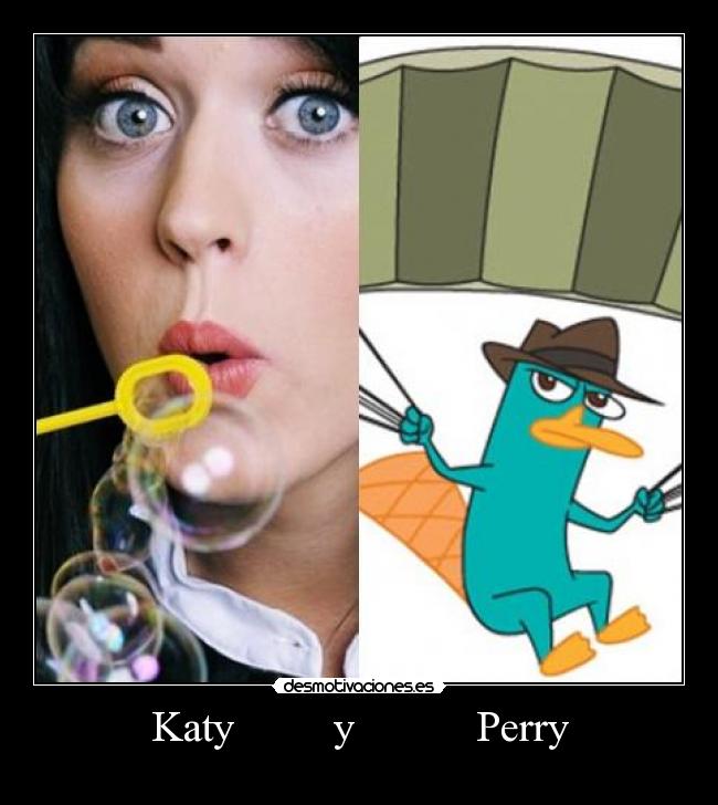 Katy         y           Perry - 