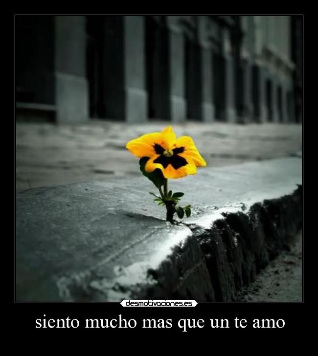 siento mucho mas que un te amo -