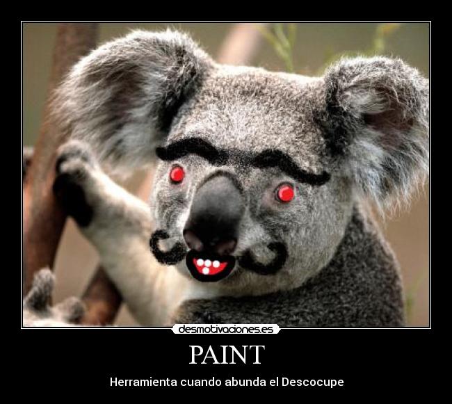 carteles pain desmotivaciones