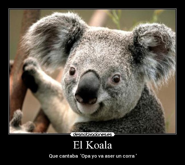 El Koala - Que cantaba Opa yo va aser un corra