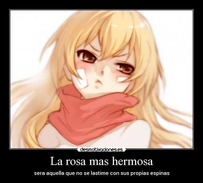 La rosa mas hermosa - 