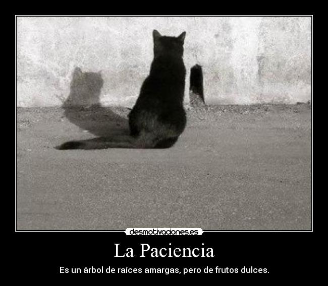 La Paciencia - Es un árbol de raíces amargas, pero de frutos dulces.