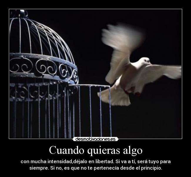 Cuando quieras algo - con mucha intensidad,déjalo en libertad. Si va a tí, será tuyo para
siempre. Si no, es que no te pertenecía desde el principio.