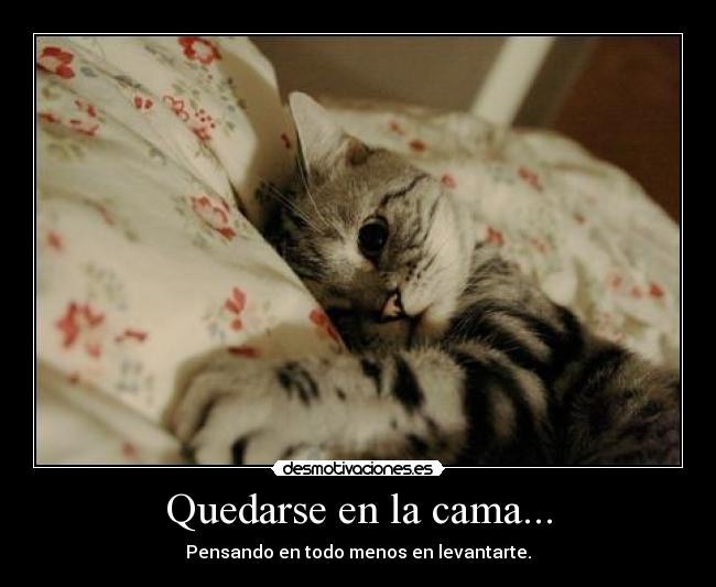 Quedarse en la cama... - Pensando en todo menos en levantarte.
