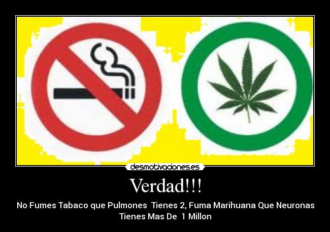 Verdad!!! - No Fumes Tabaco que Pulmones Tienes 2, Fuma Marihuana Que Neuronas
Tienes Mas De 1 Millon