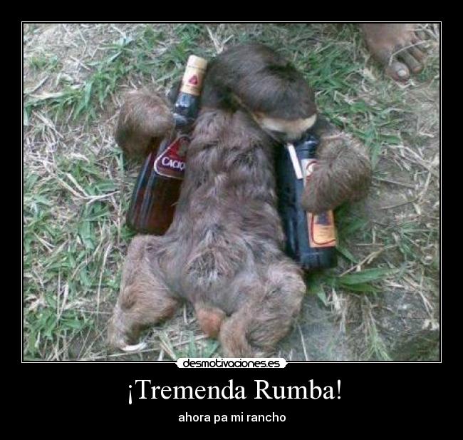 carteles rumbavenezuelawilson desmotivaciones