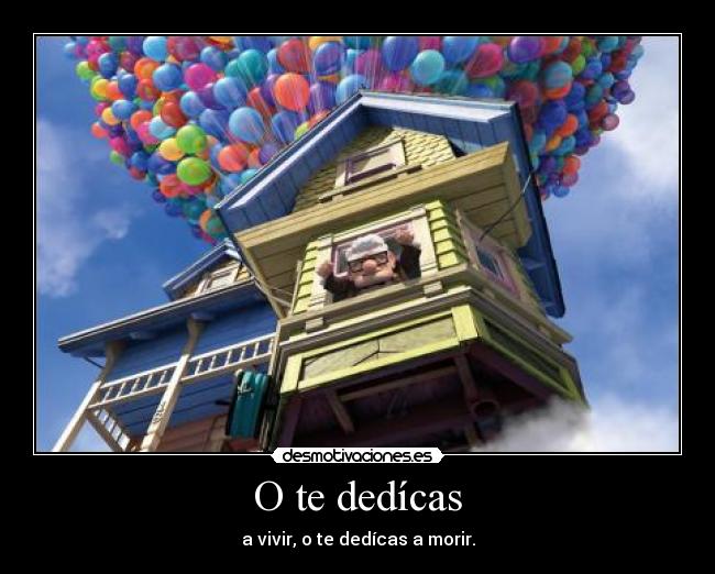 O te dedícas -