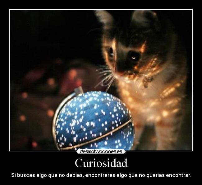 Curiosidad - Si buscas algo que no debias, encontraras algo que no querias encontrar.