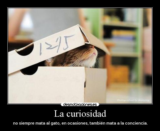 carteles curiosidad desmotivaciones
