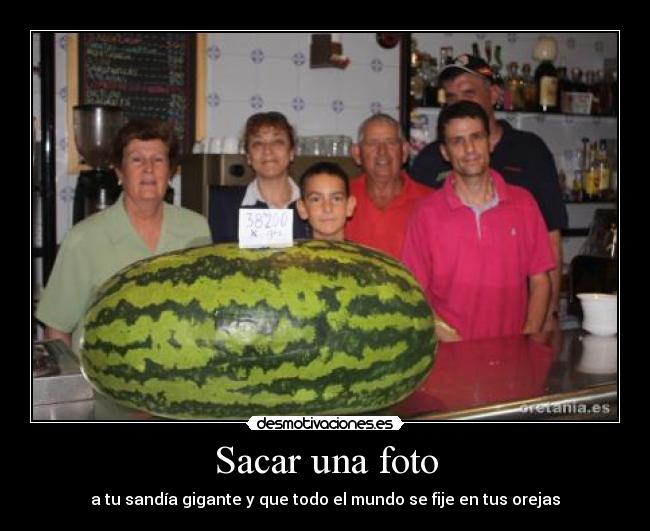 Sacar una foto - a tu sandía gigante y que todo el mundo se fije en tus orejas