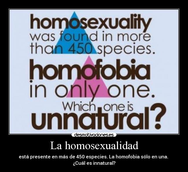 La homosexualidad - está presente en más de 450 especies. La homofobia sólo en una. 
¿Cuál es innatural?