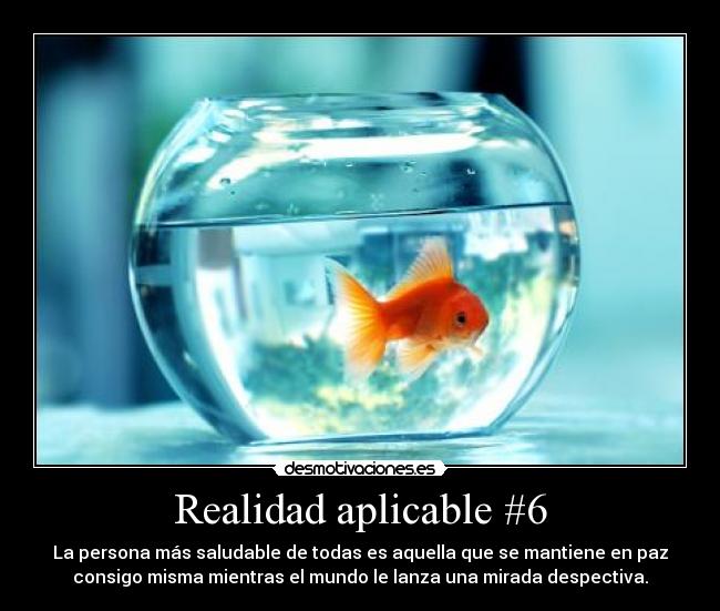 Realidad aplicable #6 - La persona más saludable de todas es aquella que se mantiene en paz
consigo misma mientras el mundo le lanza una mirada despectiva.