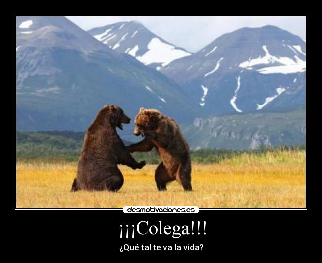 ¡¡¡Colega!!! -