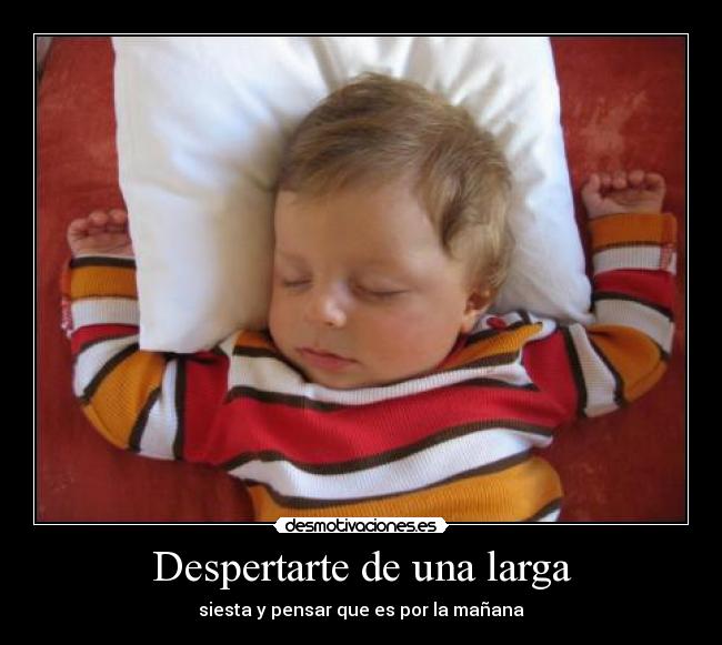 Despertarte de una larga - 
