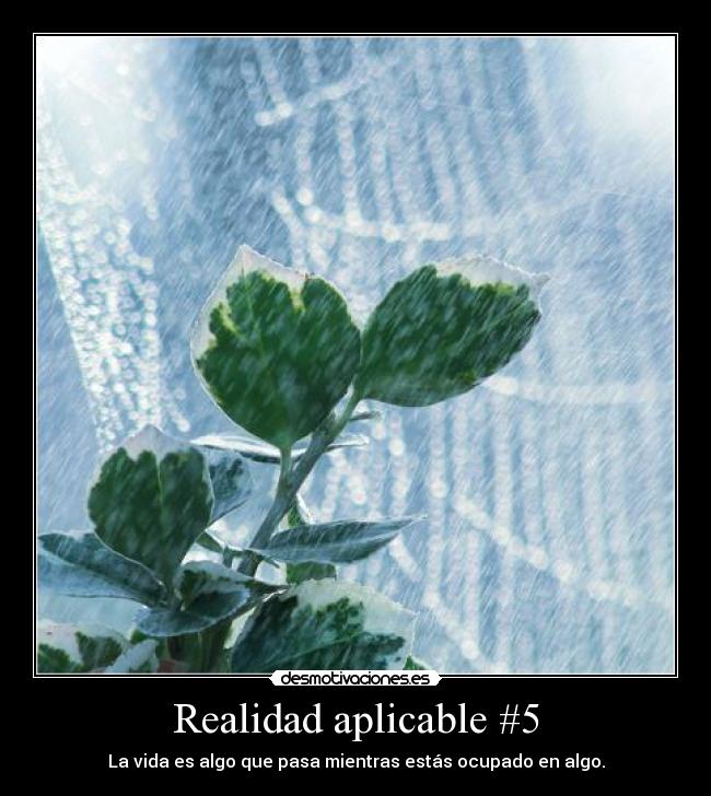 Realidad aplicable #5 - La vida es algo que pasa mientras estás ocupado en algo.