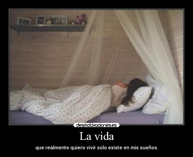 La vida - que realmente quiero vivir solo existe en mis sueños.
