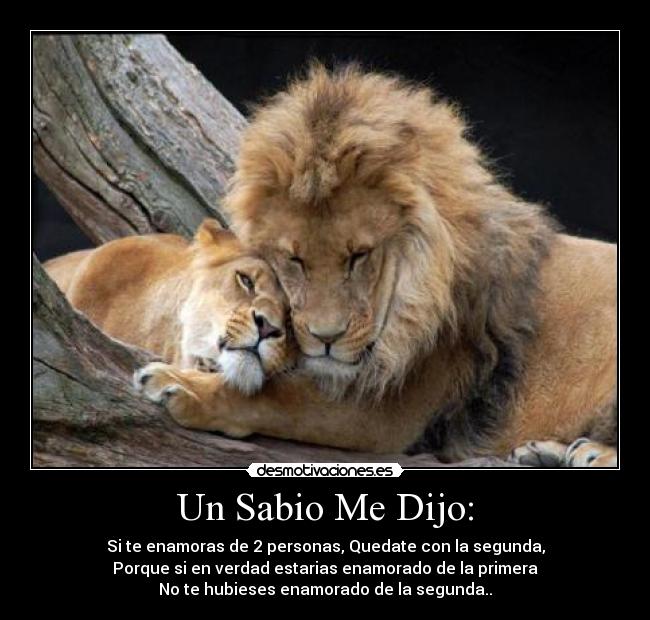 Un Sabio Me Dijo: - Si te enamoras de 2 personas, Quedate con la segunda,
Porque si en verdad estarias enamorado de la primera
No te hubieses enamorado de la segunda..