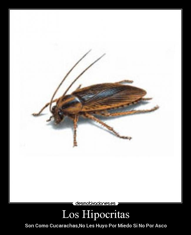 carteles rannie desmotivaciones