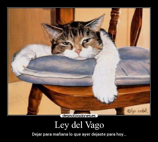 Ley del Vago - 