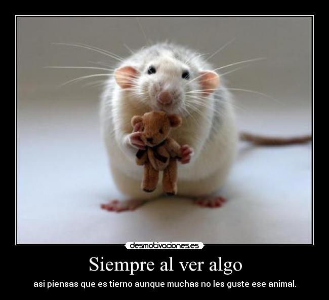 Siempre al ver algo - 