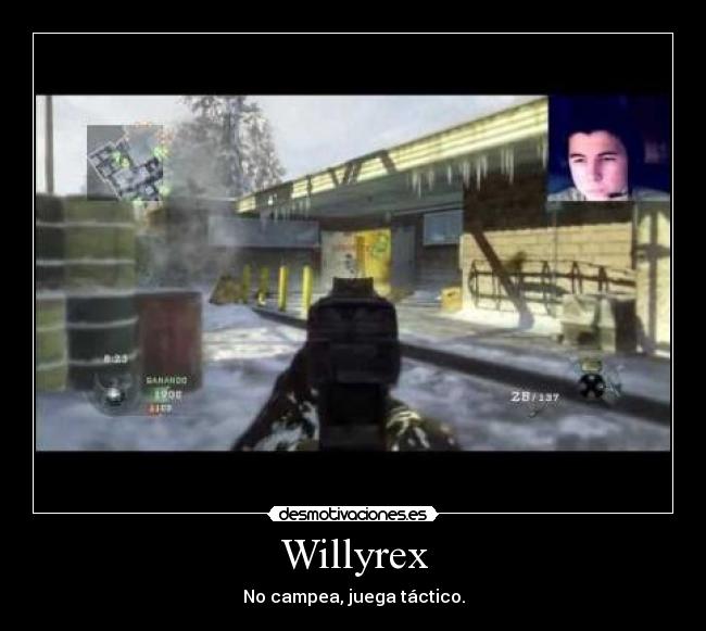 Willyrex -