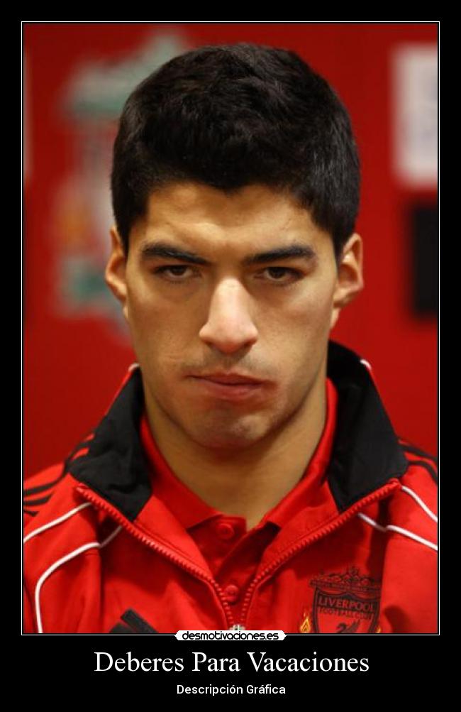 Deberes Para Vacaciones - Descripción Gráfica