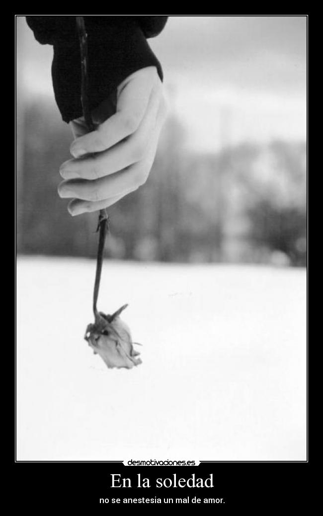 En la soledad - no se anestesia un mal de amor.