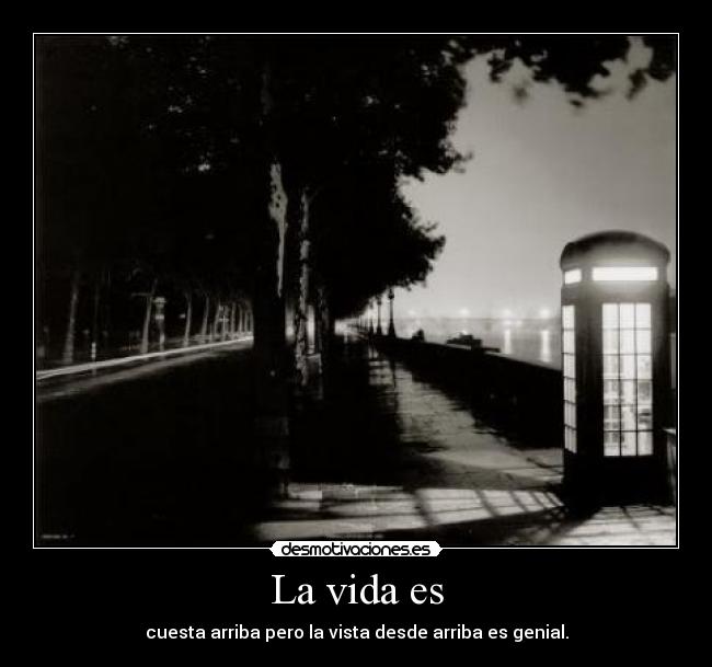 La vida es -