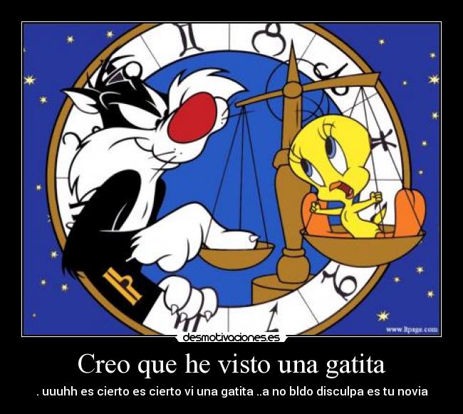 Creo que he visto una gatita - . uuuhh es cierto es cierto vi una gatita ..a no bldo disculpa es tu novia