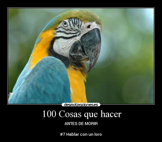 100 Cosas que hacer - 