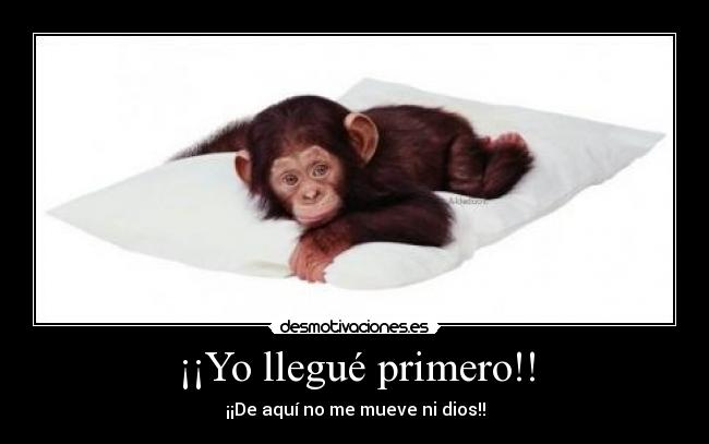 carteles akleduok desmotivaciones