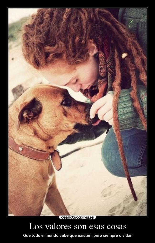 Los valores son esas cosas - Que todo el mundo sabe que existen, pero siempre olvidan