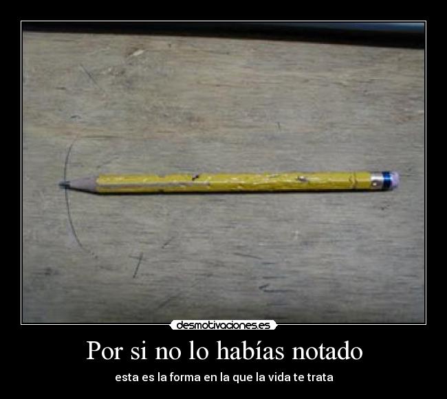 Por si no lo habías notado - esta es la forma en la que la vida te trata