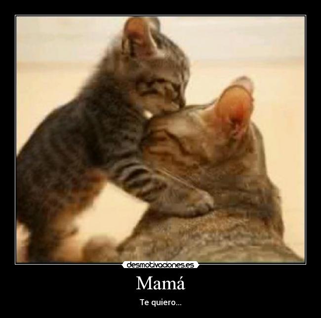 Mamá - Te quiero...