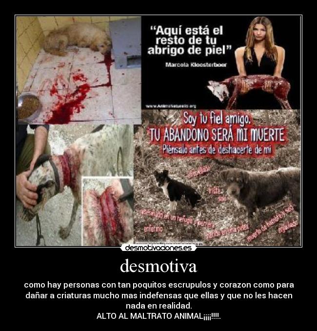 desmotiva - como hay personas con tan poquitos escrupulos y corazon como para
dañar a criaturas mucho mas indefensas que ellas y que no les hacen
nada en realidad.
ALTO AL MALTRATO ANIMAL¡¡¡¡!!!!.