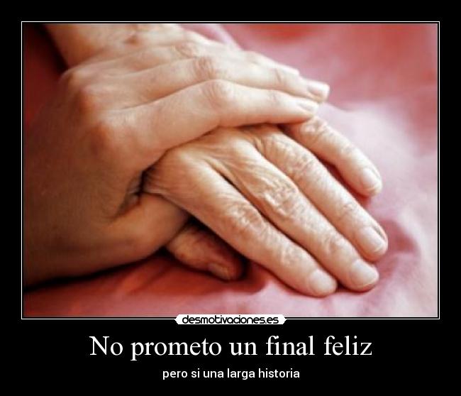 No prometo un final feliz - pero si una larga historia
