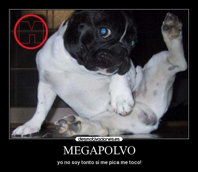 MEGAPOLVO -