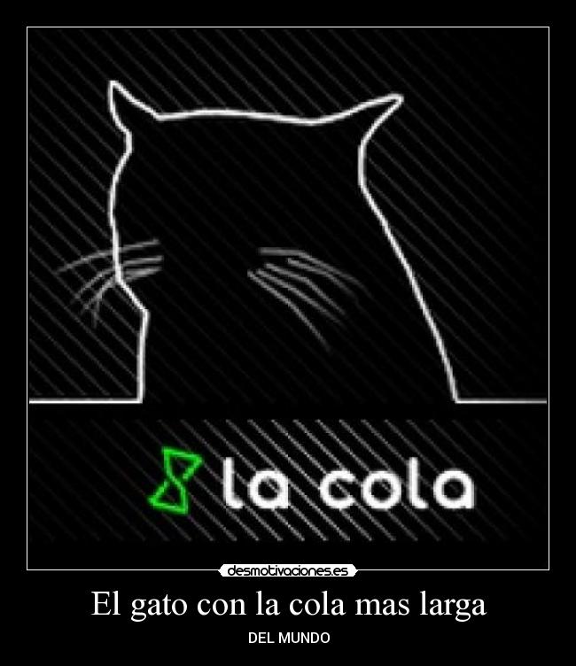 El gato con la cola mas larga - 