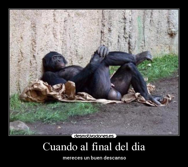 Cuando al final del dia -