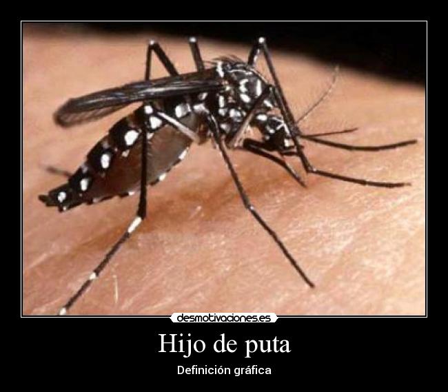 carteles ijo putaaaaaaaaaaaaaaaaaaaaaaaa komo los odio desmotivaciones