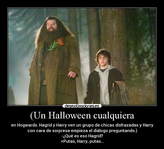 (Un Halloween cualquiera - en Hogwards. Hagrid y Harry ven un grupo de chicas disfrazadas y Harry
con cara de sorpresa empieza el diálogo preguntando.)
-¿Qué es eso Hagrid?
+Putas, Harry, putas...