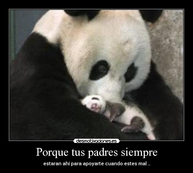 Porque tus padres siempre - 
