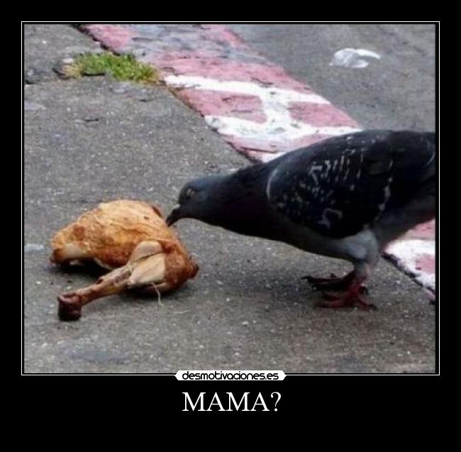 MAMA? - 