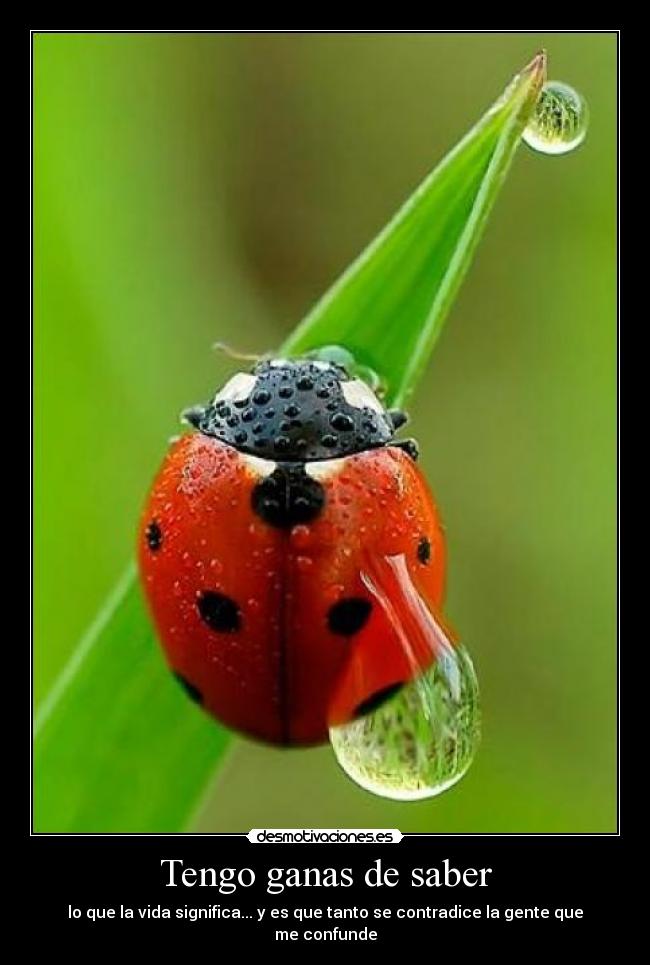 Tengo ganas de saber - 