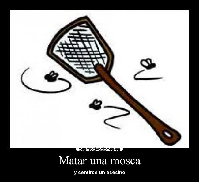 Matar una mosca -