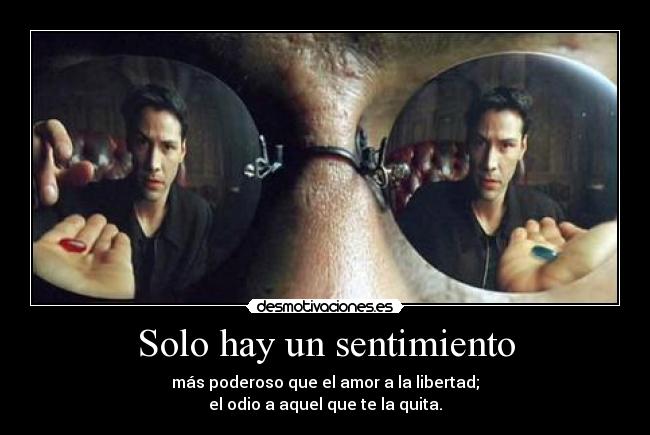 Solo hay un sentimiento - 