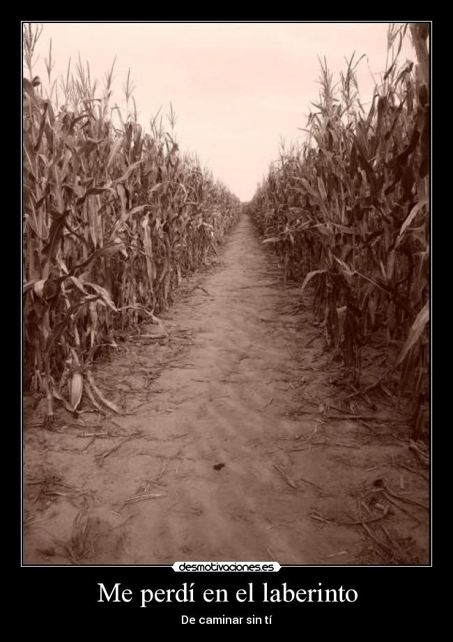 Me perdí en el laberinto - De caminar sin tí