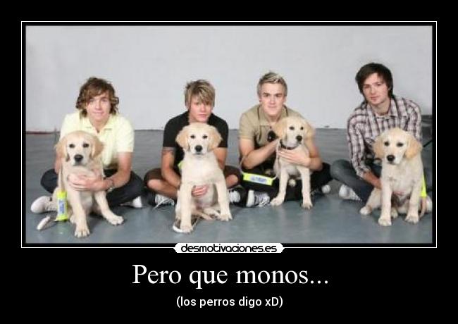 Pero que monos... - (los perros digo xD)