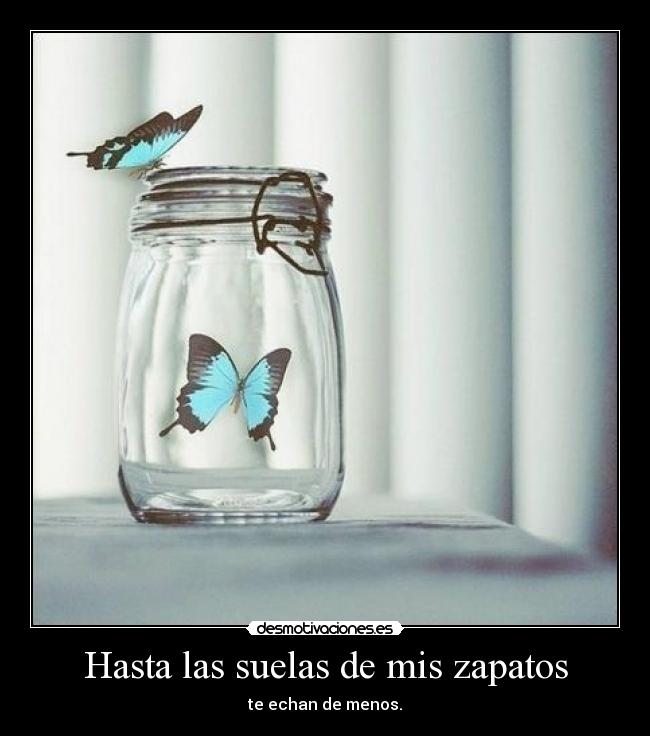 Hasta las suelas de mis zapatos - te echan de menos.