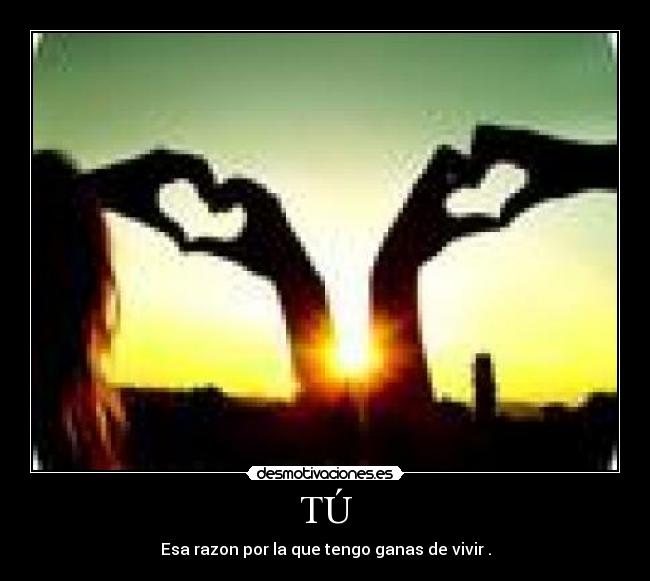 TÚ - Esa razon por la que tengo ganas de vivir .